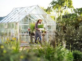 Desain Interior Green House Yang Cantik Dan Nyaman